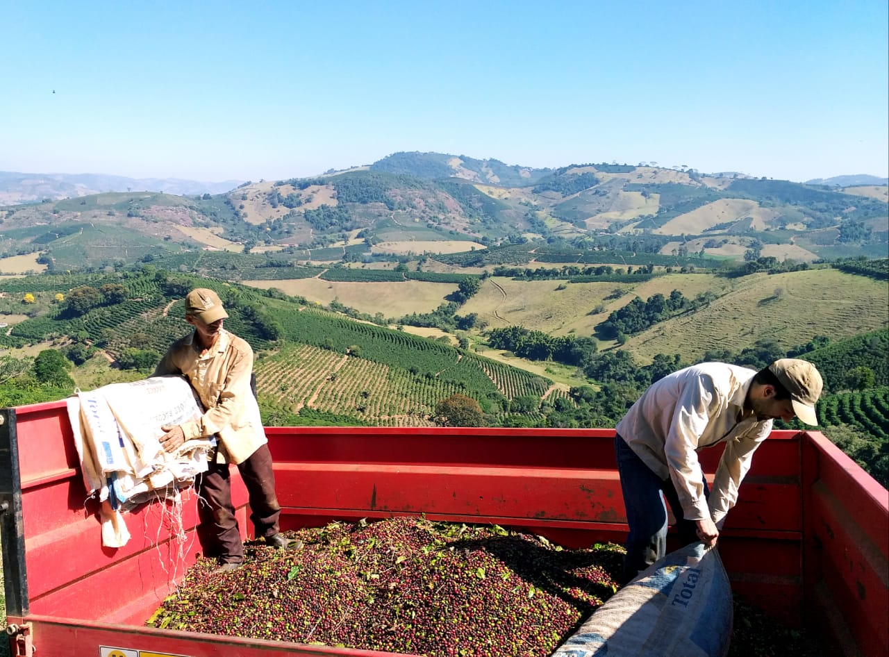 Brasilianischer Kaffee der CoopFam