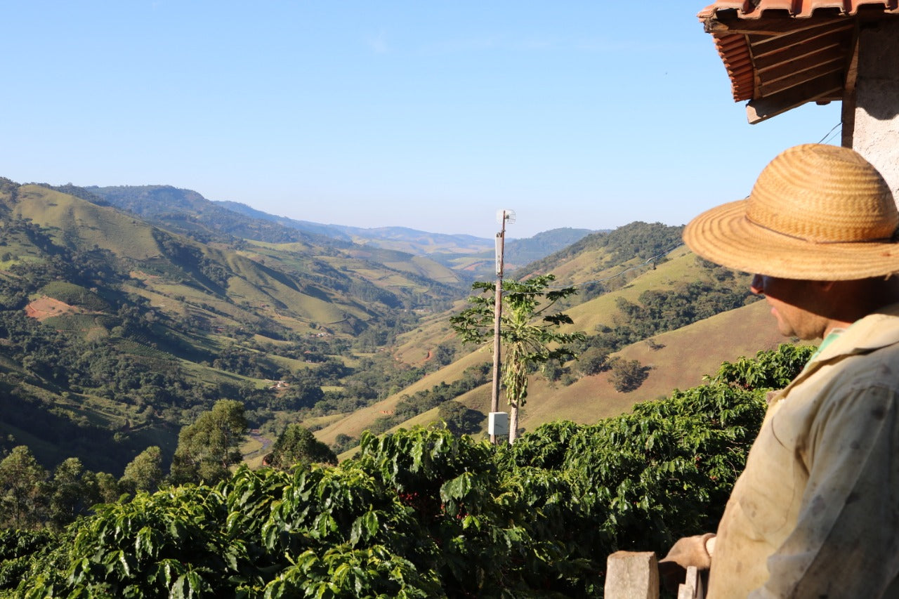 Coopfam Cooperative Brasilien