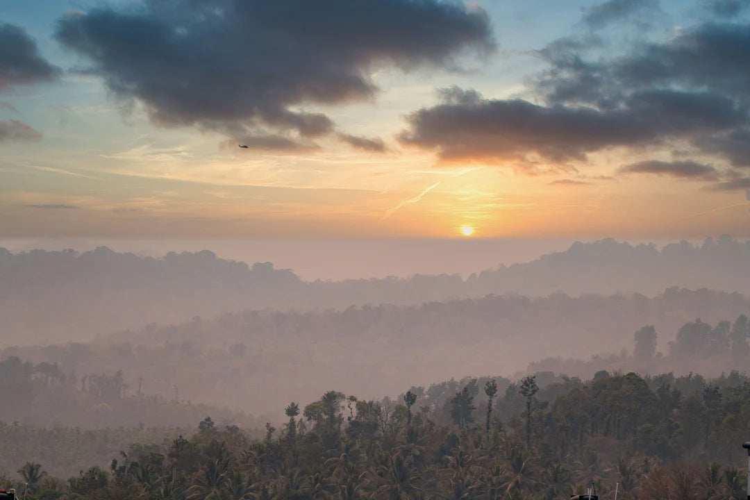 Saisonaler Kaffee - Indien Robusta Sethuraman Estate