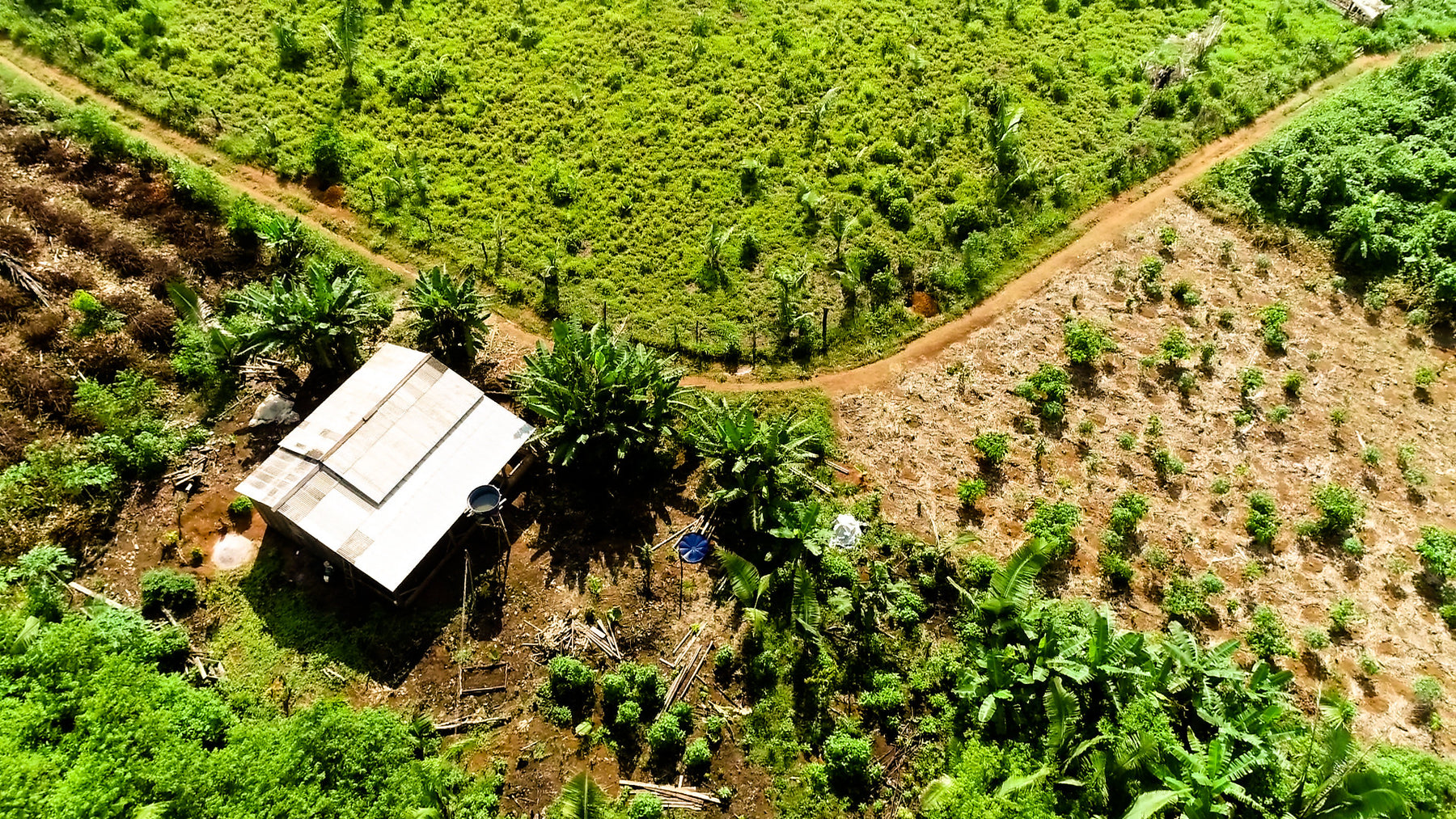 Brasilien Igarapé (Abo)