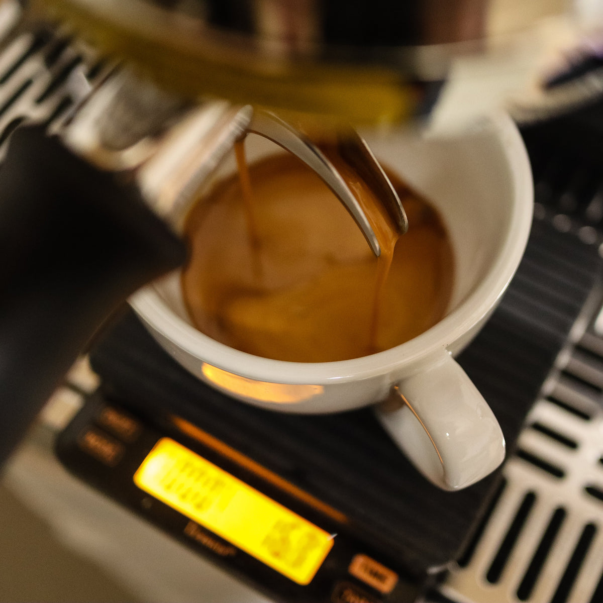 Espresso Mischung (Siebträger-Röstung) - Abo