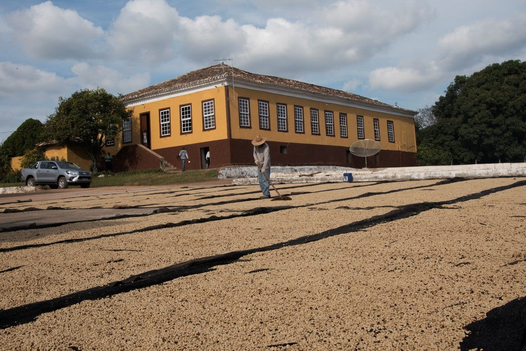 Brasilien SanCoffee - Direct Trade Kaffee (Abo)