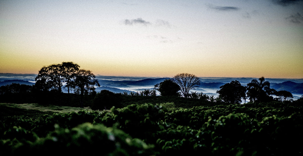 Brasilien Coopfam BIO Espresso