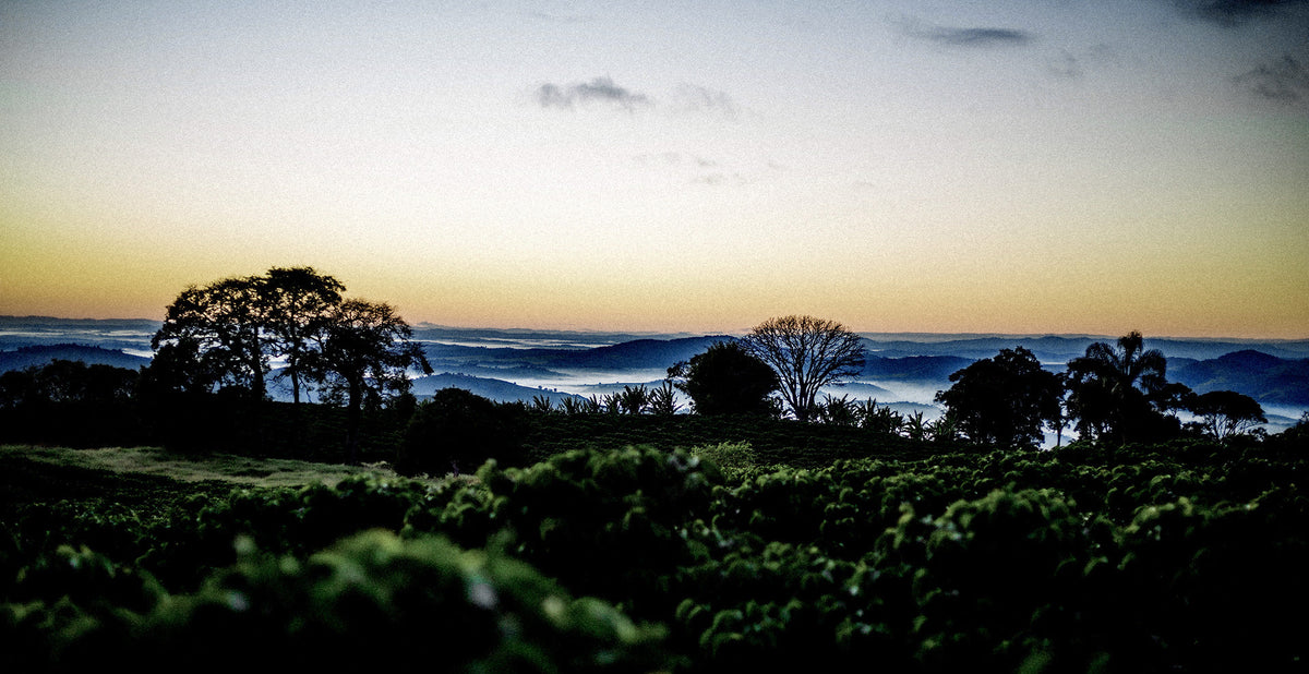 Brasilien Coopfam BIO Espresso (Abo)