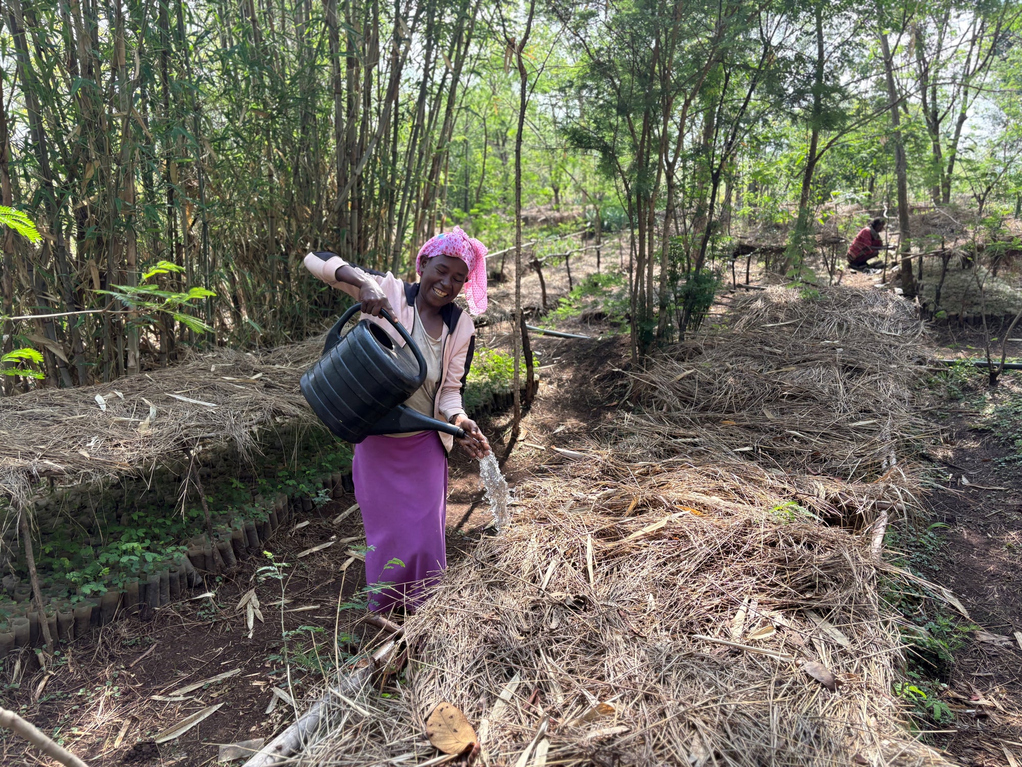 Update Projekt Green Ethiopia (Juni 2025)