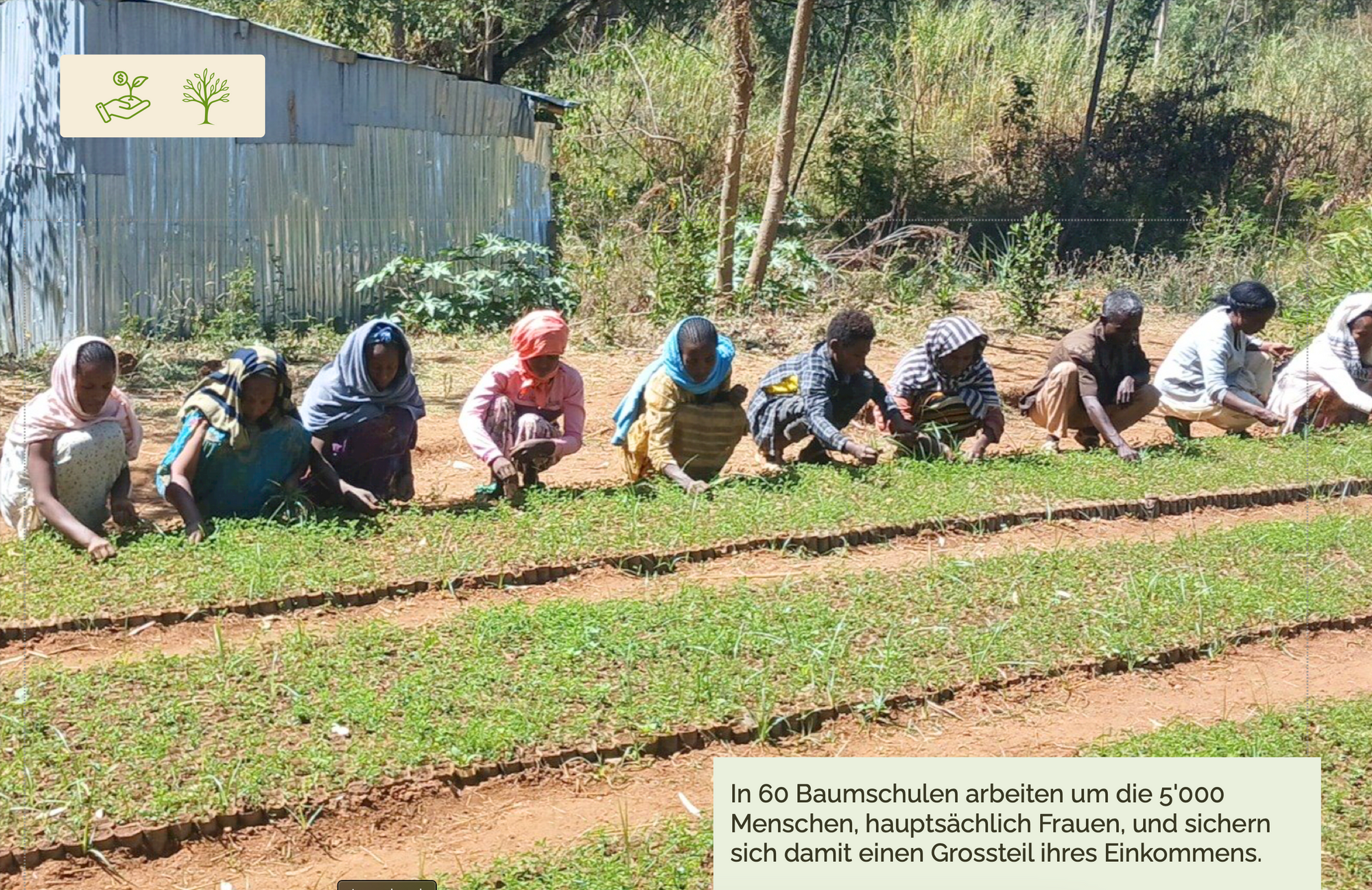 Jahresbericht 2025 Stiftung Green Ethiopia