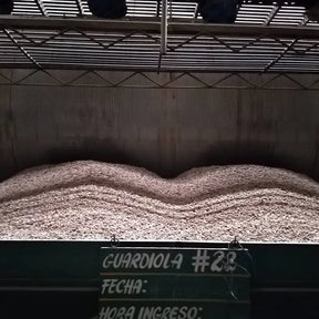 Saisonaler Kaffee - Costa Rica Coopelibertad