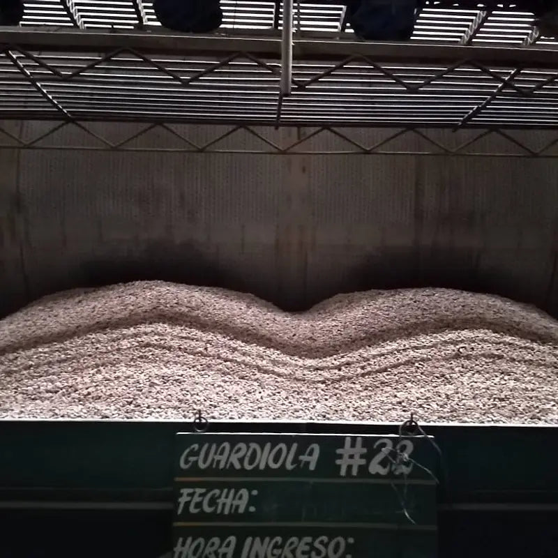 Saisonaler Kaffee - Costa Rica Coopelibertad