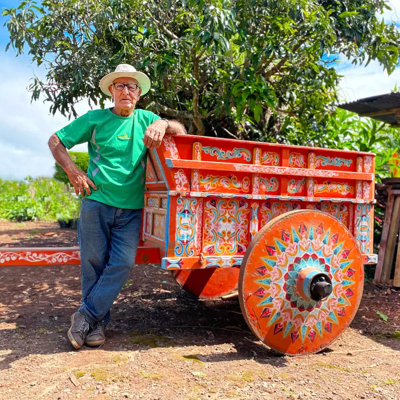 Saisonaler Kaffee - Costa Rica Coopelibertad
