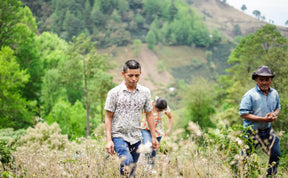 Honduras Los Ocotillos