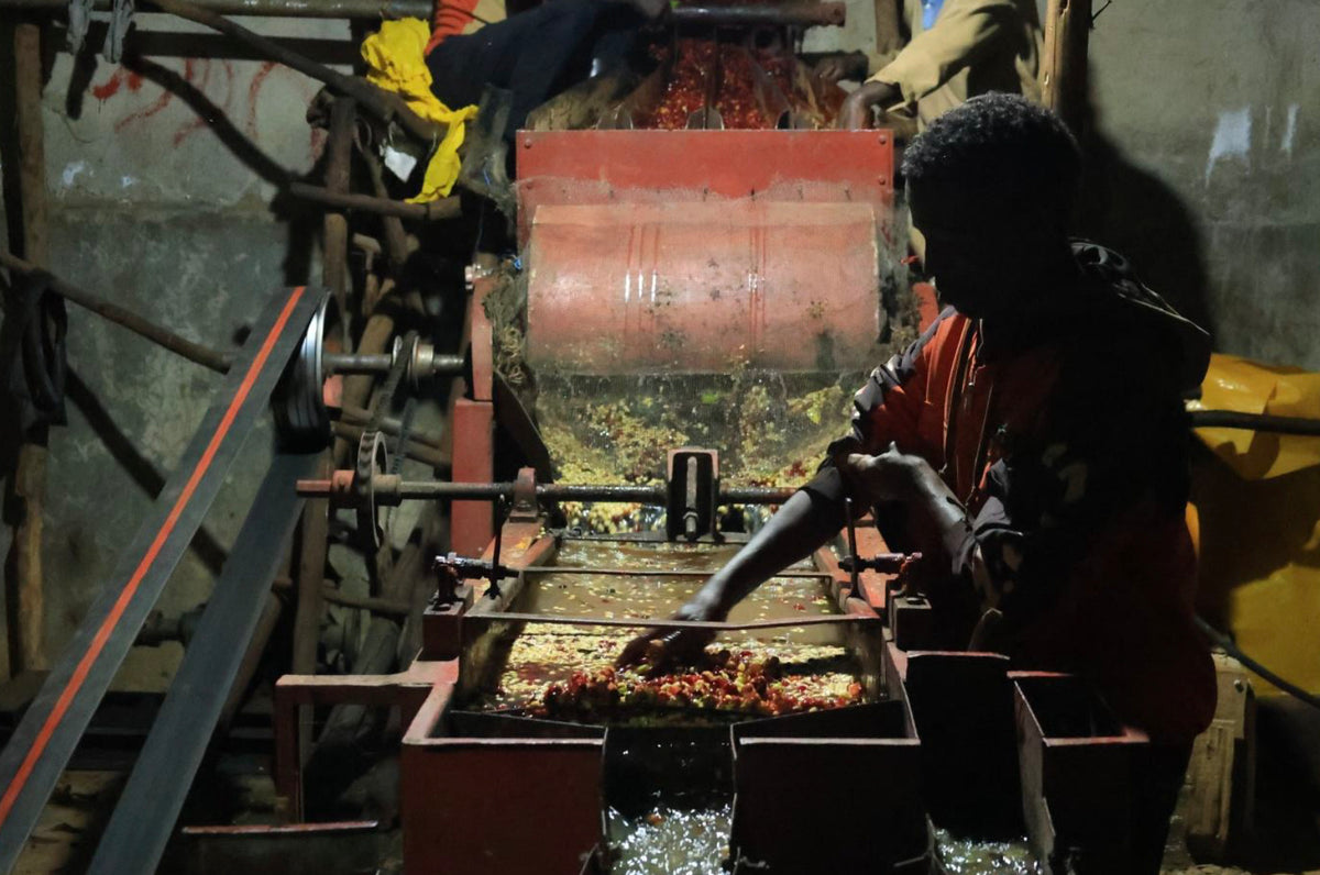 Äthiopien Bensa Setamo - Filter