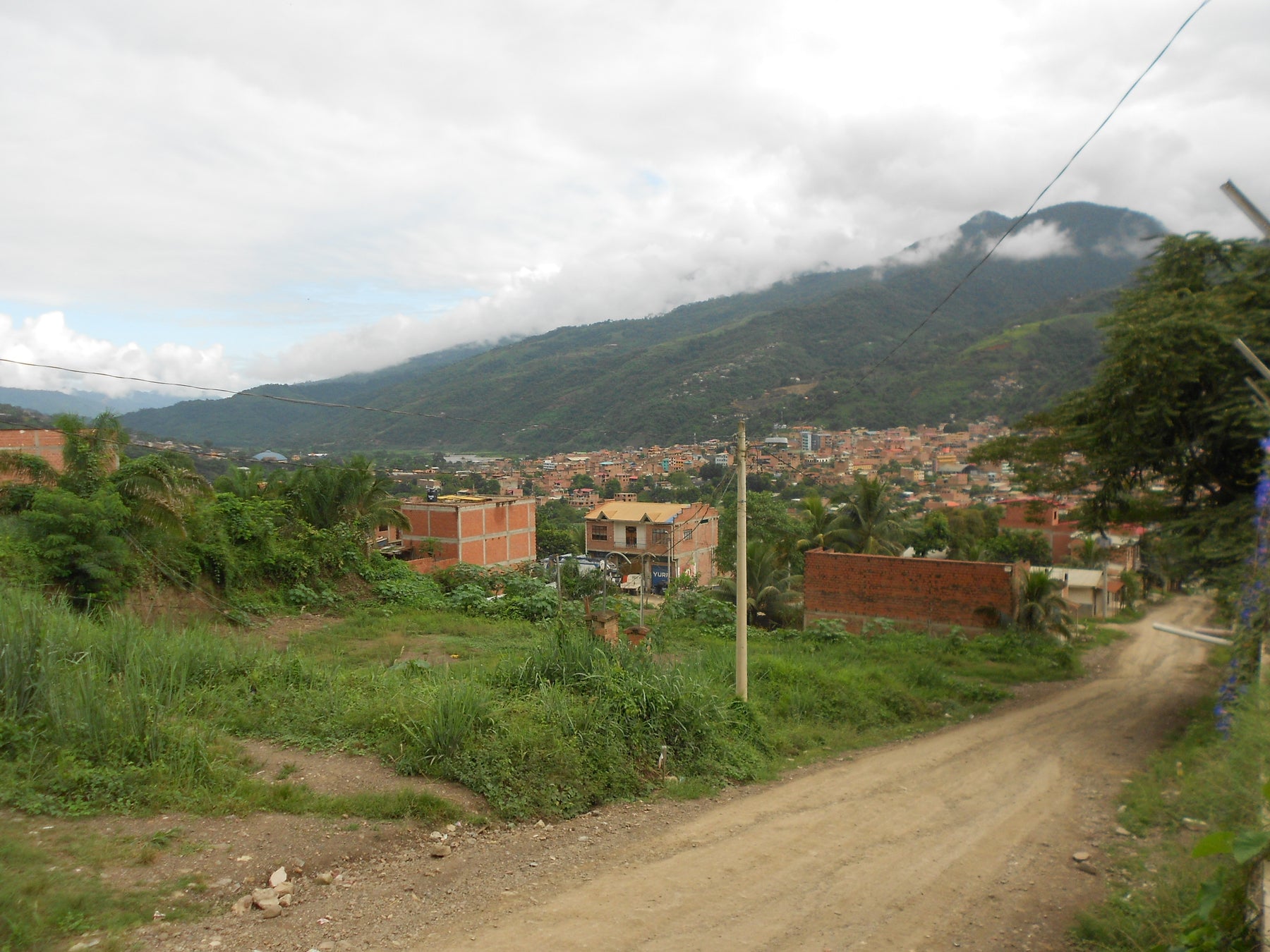 Saisonaler Kaffee - Bolivien Caranavi