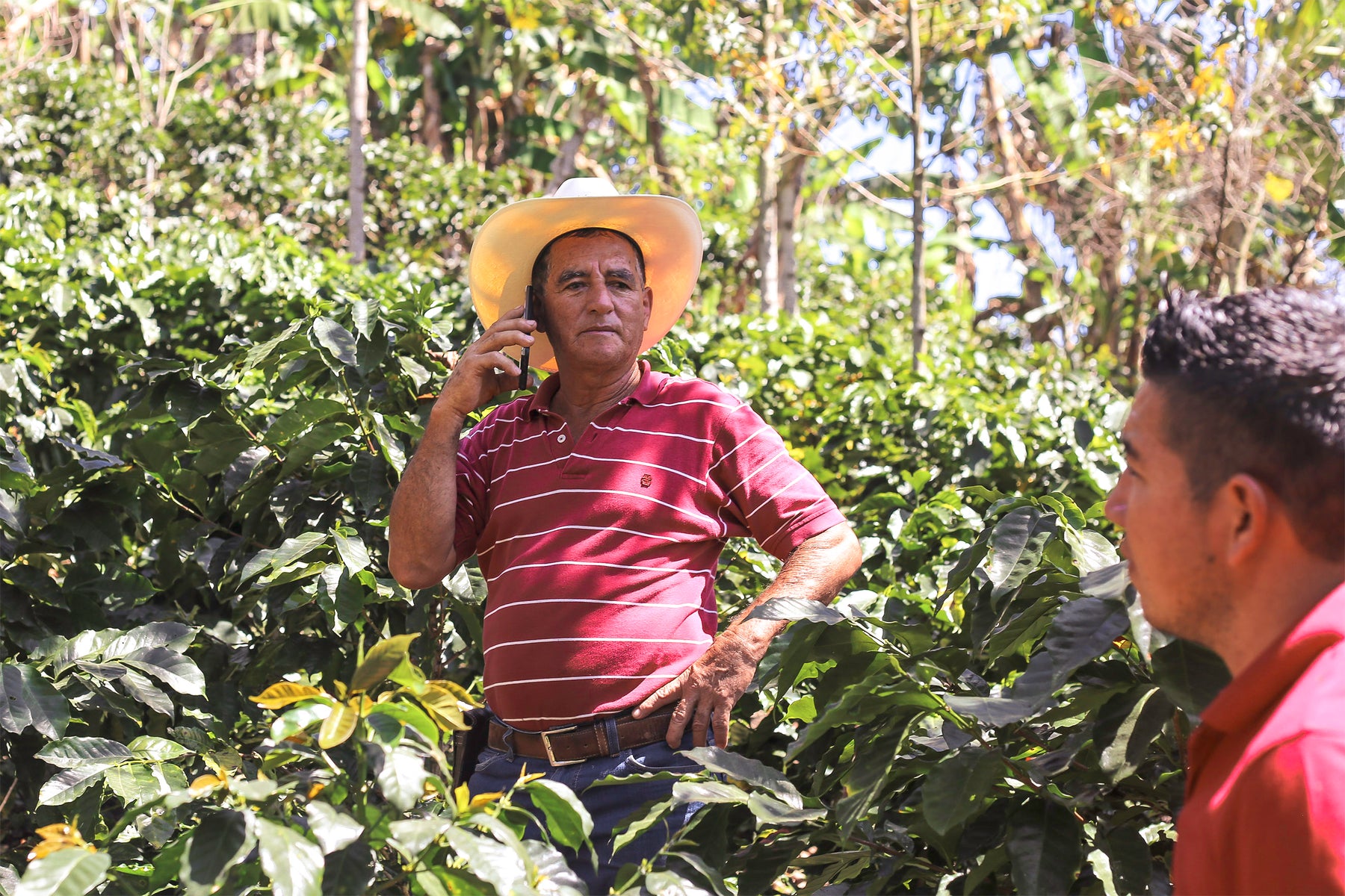 Honduras Capucas entkoffeiniert (Bio Decaf)