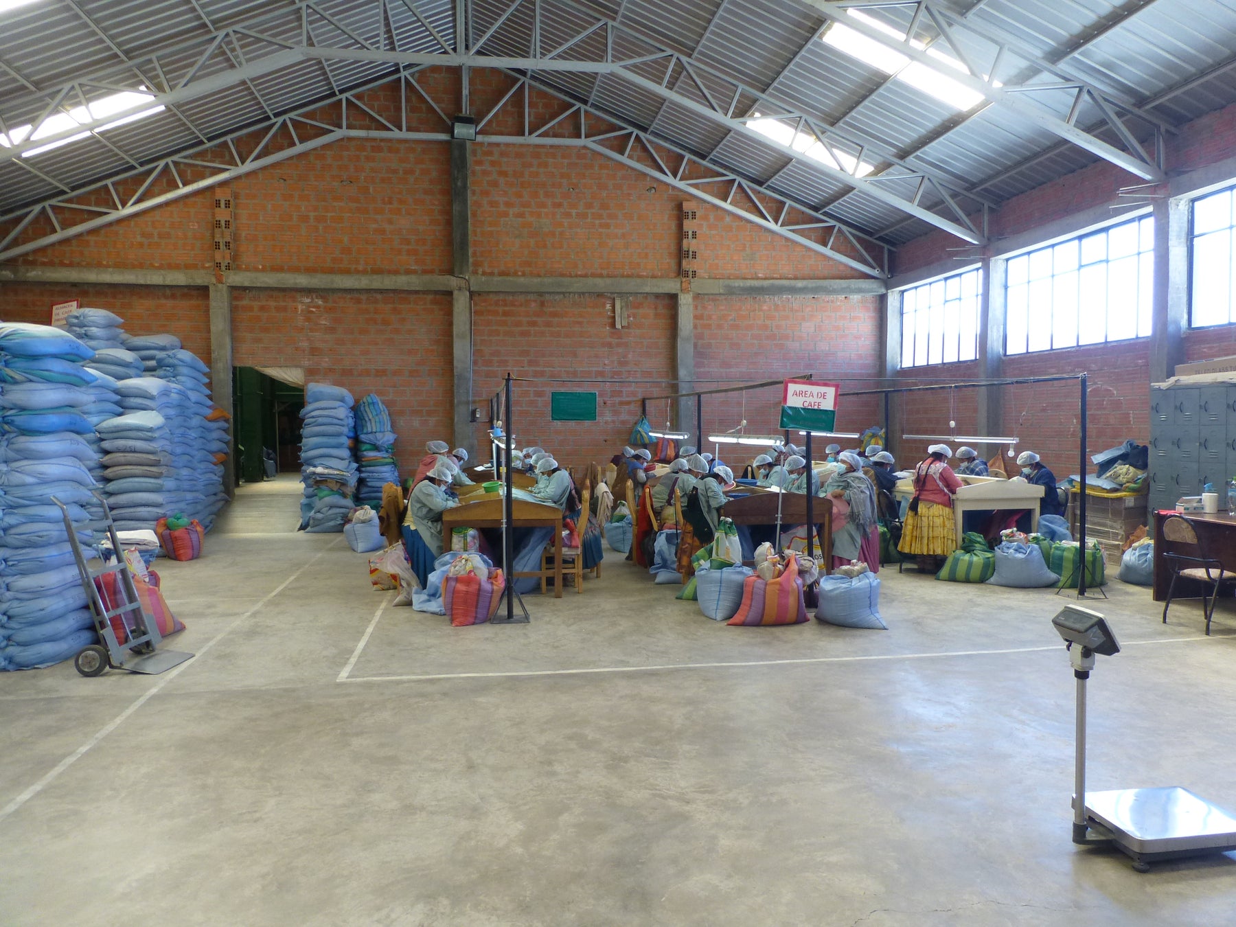 Saisonaler Kaffee - Bolivien Caranavi