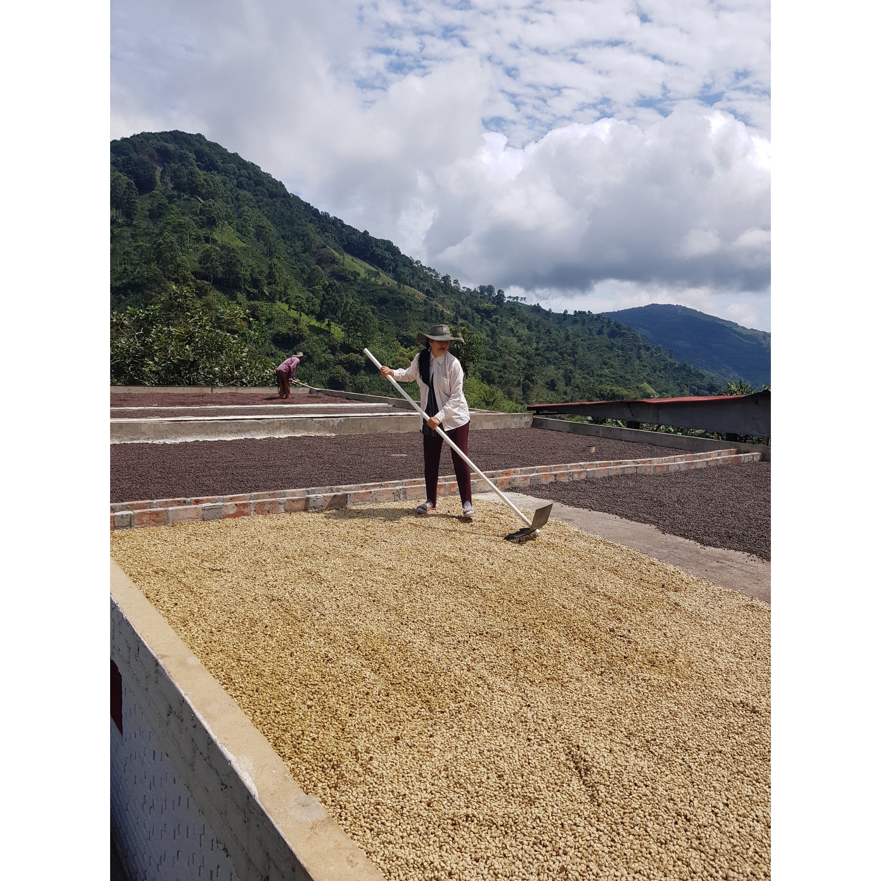 Saisonaler-Kaffee-Cappuccino-Blend-3