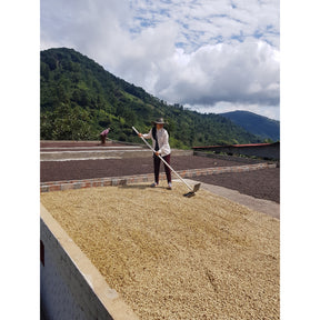 Saisonaler-Kaffee-Cappuccino-Blend-3