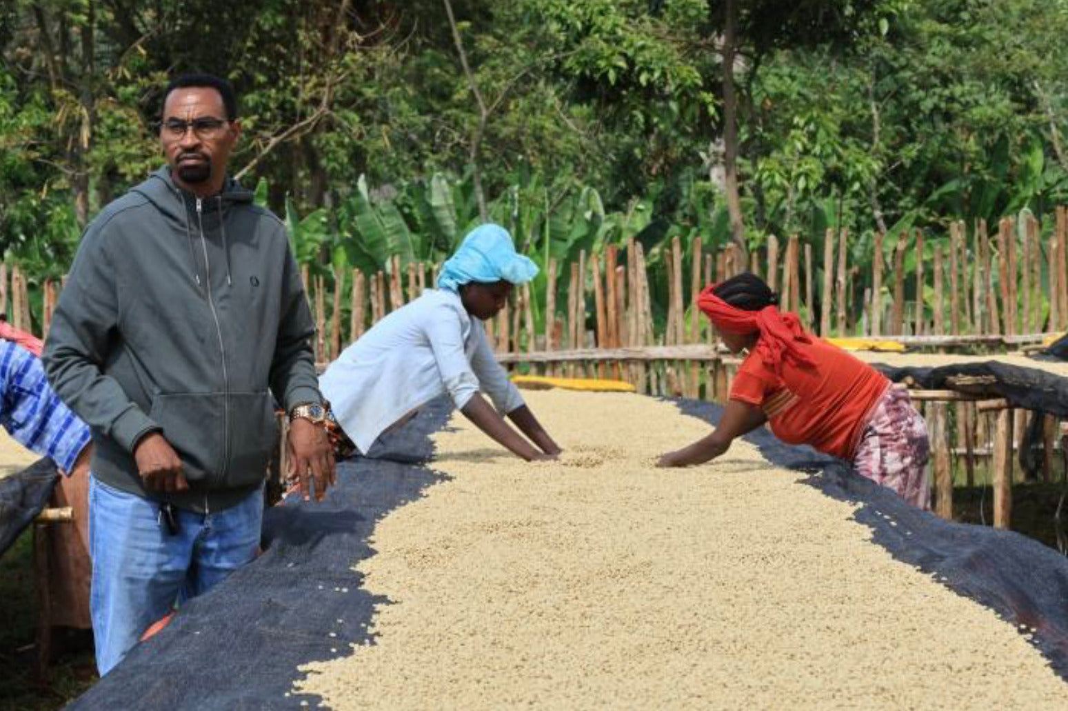 Äthiopien Bensa Setamo - Filter