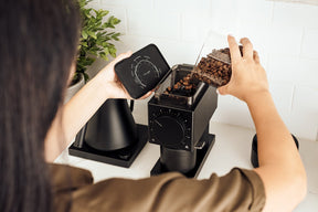 Fellow Ode Grinder V1.1 - Kaffeemühle (neue 2021 Version)